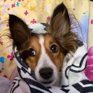 Meet your Posher, Riva